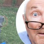 Чудно откриће у близини дрвета оставило је комшиницу у недоумици: