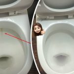 Један производ ће избелити тоалет до сјаја: како се носити