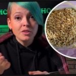 Како одабрати зелено ђубриво и изненадити своје комшије жетвом: баштован