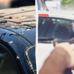 Птице више неће серети по аутомобилима: ево шта треба да урадите Птице више неће серети по аутомобилима: ево шта треба да